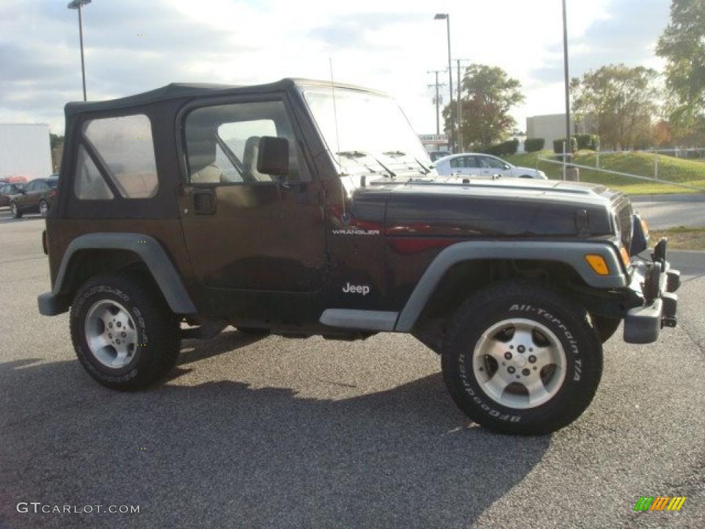 2002 Wrangler Sport 4x4 - Black / Agate Black photo #5