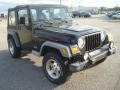 Black - Wrangler Sport 4x4 Photo No. 6