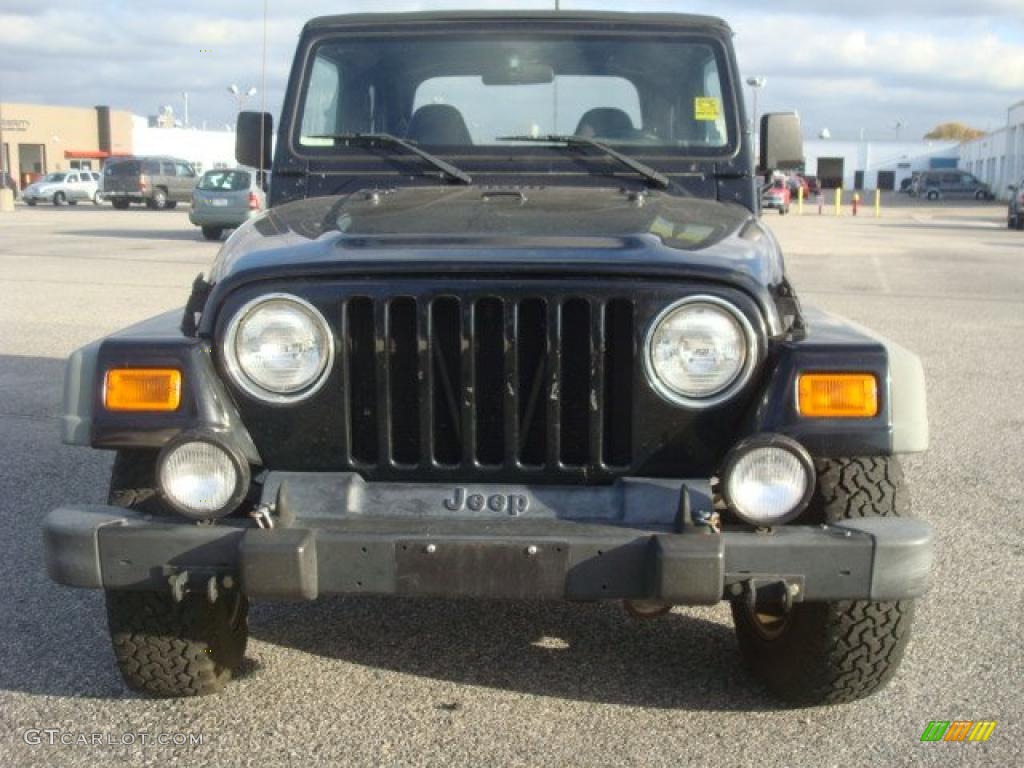 2002 Wrangler Sport 4x4 - Black / Agate Black photo #7