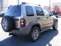 2006 Dark Khaki Pearl Jeep Liberty Renegade 4x4  photo #5