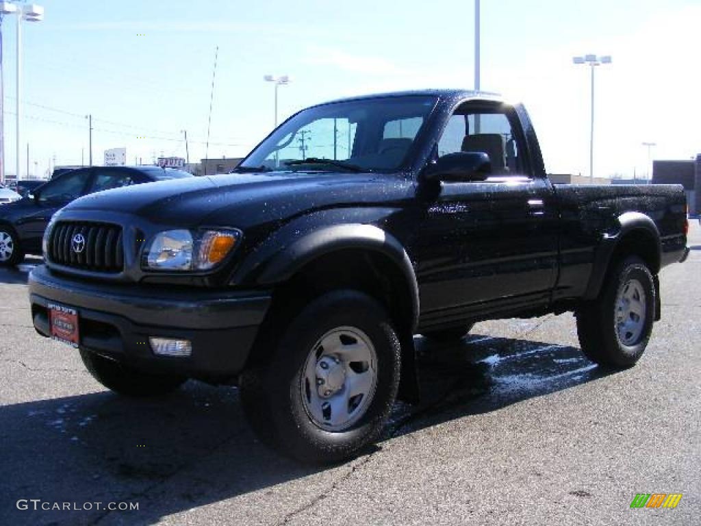 2004 Tacoma Regular Cab 4x4 - Black Sand Pearl / Oak photo #7