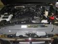 4.0 Liter OHV 12-Valve V6 2011 Ford Ranger XLT SuperCab 4x4 Engine