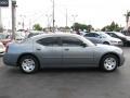 2007 Silver Steel Metallic Dodge Charger   photo #10