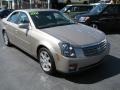 Cashmere - CTS Sedan Photo No. 1
