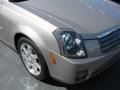 Cashmere - CTS Sedan Photo No. 2