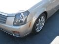 Cashmere - CTS Sedan Photo No. 4