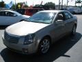 Cashmere - CTS Sedan Photo No. 5