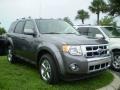 Sterling Grey Metallic 2009 Ford Escape Limited