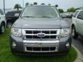 2009 Sterling Grey Metallic Ford Escape Limited  photo #3