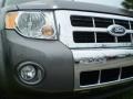 2009 Sterling Grey Metallic Ford Escape Limited  photo #5