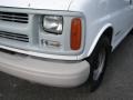 Olympic White - Chevy Van G1500 Commercial Photo No. 4