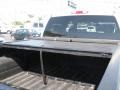 Silver Birch Metallic - Silverado 2500HD LT Crew Cab Photo No. 10