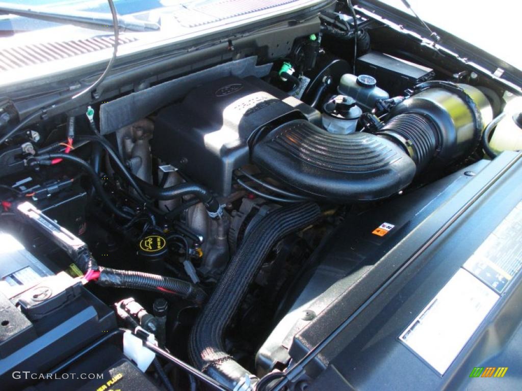 2002 Ford F150 XLT SuperCab 4.6 Liter SOHC 16V Triton V8 Engine Photo #39825774