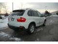 2009 Alpine White BMW X5 xDrive30i  photo #5