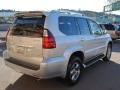 Titanium Silver Metallic - GX 470 Photo No. 7