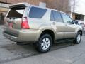 Driftwood Pearl - 4Runner SR5 4x4 Photo No. 3