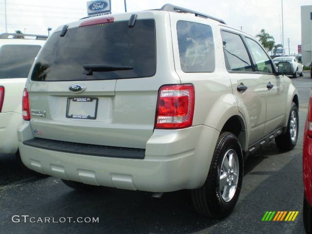 2009 Escape XLT - Light Sage Metallic / Camel photo #2