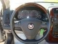 Light Platinum - CTS Sedan Photo No. 20