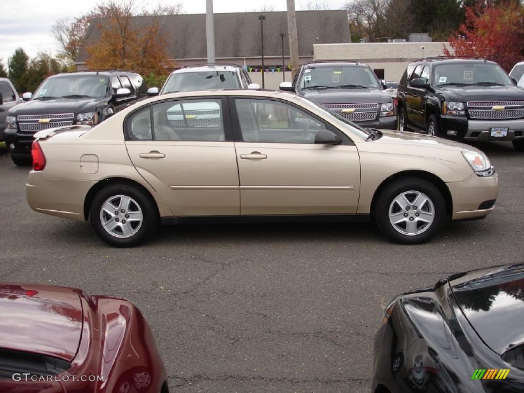 Light Driftwood Metallic 2004 Chevrolet Malibu LS V6 Sedan Exterior Photo #39837547
