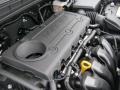  2010 Rondo LX 2.4 Liter DOHC 16-Valve 4 Cylinder Engine