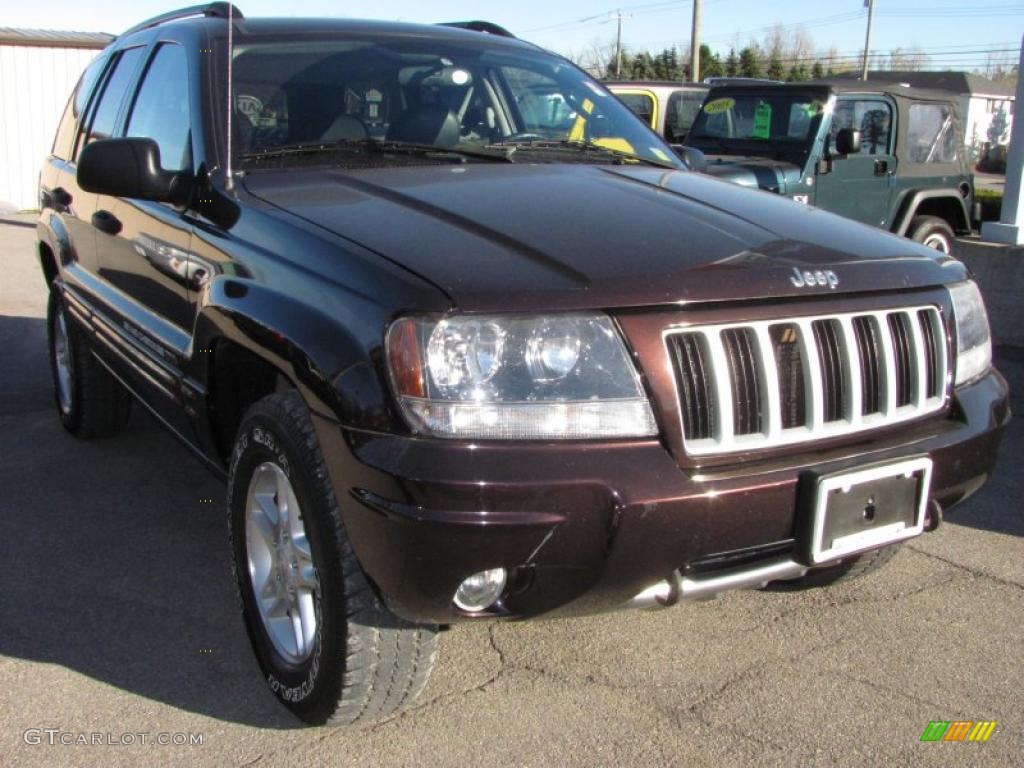 2004 Grand Cherokee Laredo 4x4 - Deep Lava Red Metallic / Dark Slate Gray photo #20