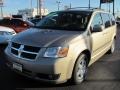 Light Sandstone Metallic - Grand Caravan SXT Photo No. 1