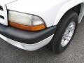 2002 Bright White Dodge Dakota Sport Quad Cab  photo #4