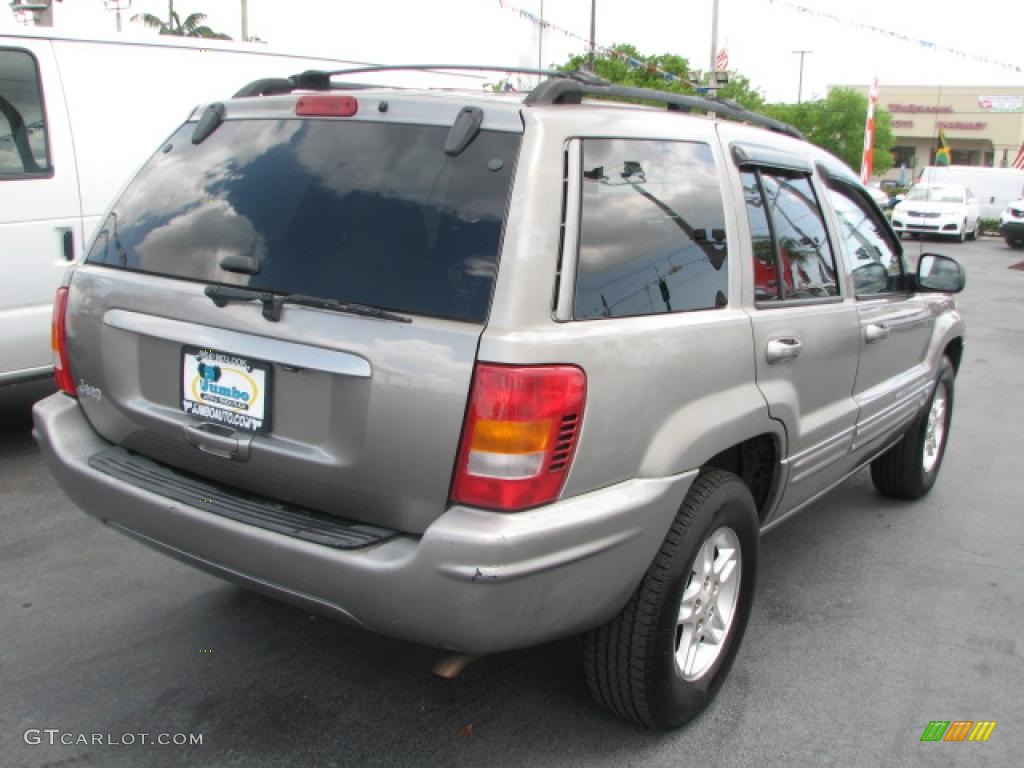 1999 Grand Cherokee Limited - Taupe Frost Metallic / Agate photo #8