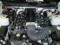 4.6 Liter Saleen Supercharged SOHC 24-Valve VVT V8 2008 Ford Mustang Saleen Gurney Signature Edition Engine