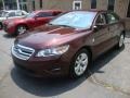 Cinnamon Red Metallic 2010 Ford Taurus SEL Exterior