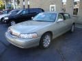 Light French Silk Metallic - Town Car Signature Limited Photo No. 3