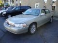 2006 Light French Silk Metallic Lincoln Town Car Signature Limited  photo #3