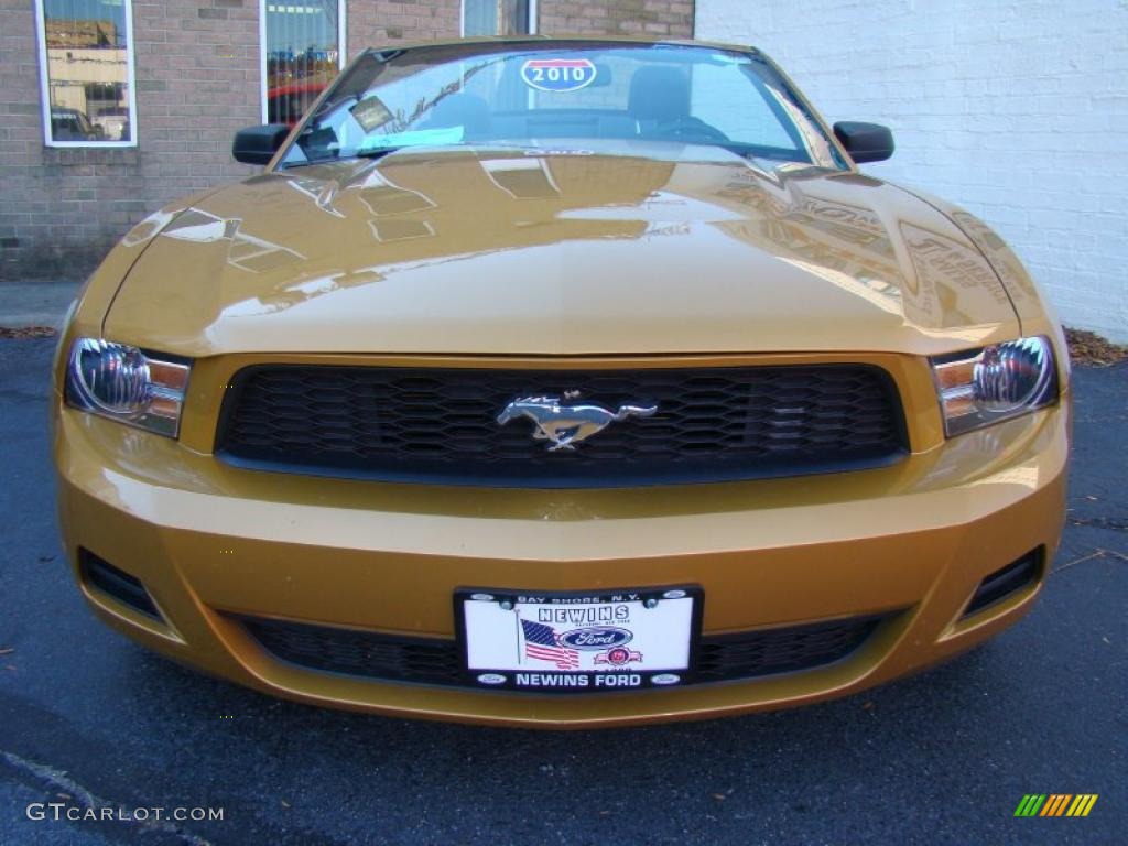 Sunset Gold Metallic 2010 Ford Mustang V6 Premium Convertible Exterior Photo #39863579