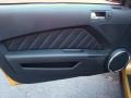 Charcoal Black 2010 Ford Mustang V6 Premium Convertible Door Panel