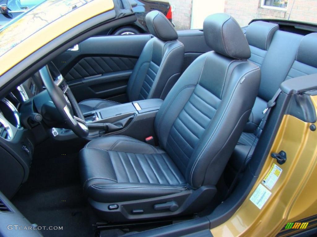 Charcoal Black Interior 2010 Ford Mustang V6 Premium Convertible Photo #39863675