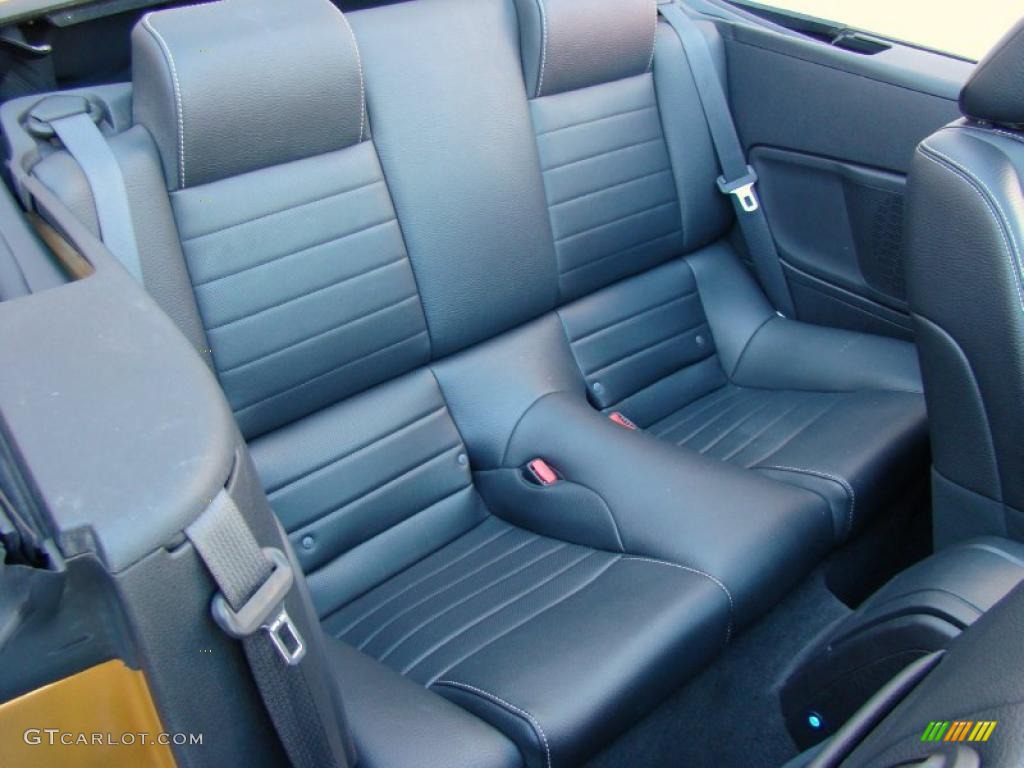 Charcoal Black Interior 2010 Ford Mustang V6 Premium Convertible Photo #39863779