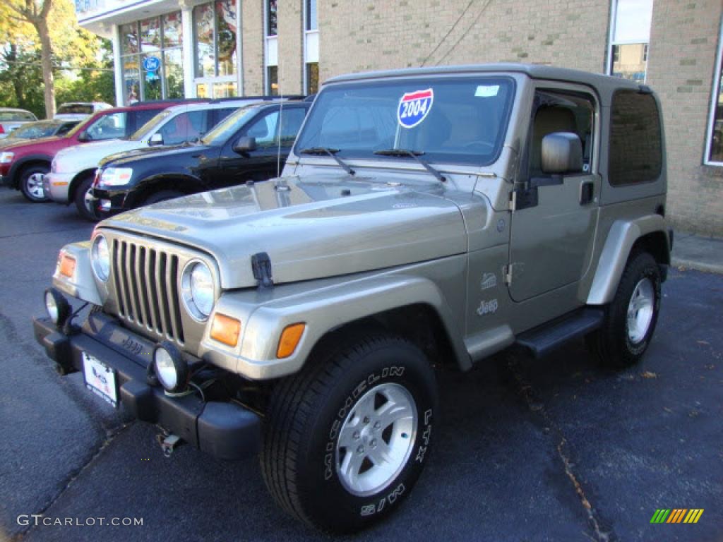 2004 Wrangler Sahara 4x4 - Light Khaki Metallic / Khaki photo #3