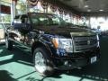 Black - F150 Platinum SuperCrew 4x4 Photo No. 1