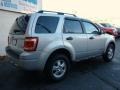 Silver Metallic - Escape XLT V6 Photo No. 5