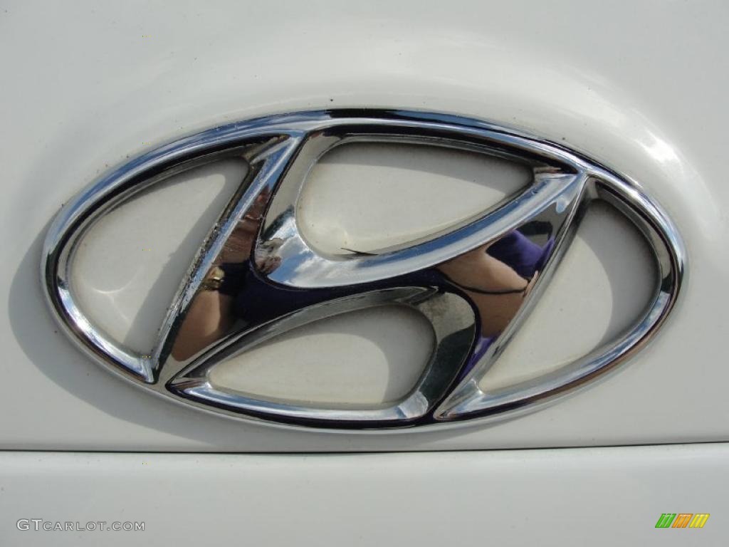 2007 Hyundai Santa Fe Limited Marks and Logos Photo #39874388