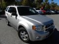 Silver Metallic - Escape XLT V6 Photo No. 1
