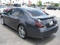 Dark Slate Metallic - Maxima 3.5 SE Photo No. 7