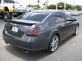 Dark Slate Metallic - Maxima 3.5 SE Photo No. 9