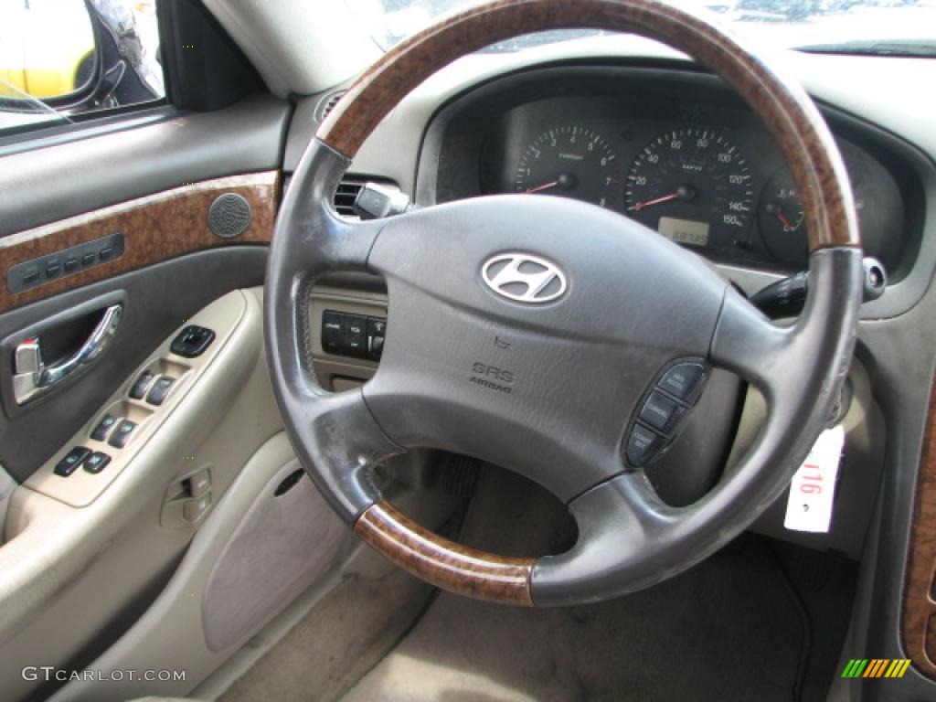 2004 Hyundai XG350 L Sedan Beige Steering Wheel Photo #39886796