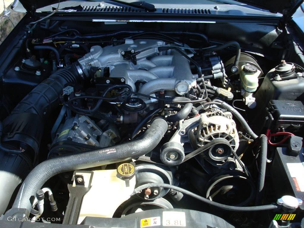 2002 Mustang V6 Coupe - True Blue Metallic / Dark Charcoal photo #7