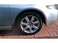 Meteor Silver Metallic - TSX Sedan Photo No. 11