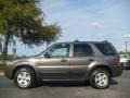 Dark Shadow Grey Metallic - Escape XLT V6 4WD Photo No. 6