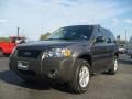 2006 Dark Shadow Grey Metallic Ford Escape XLT V6 4WD  photo #7