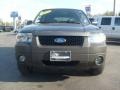 2006 Dark Shadow Grey Metallic Ford Escape XLT V6 4WD  photo #8