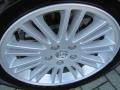 2010 Chrysler 300 Touring Wheel and Tire Photo